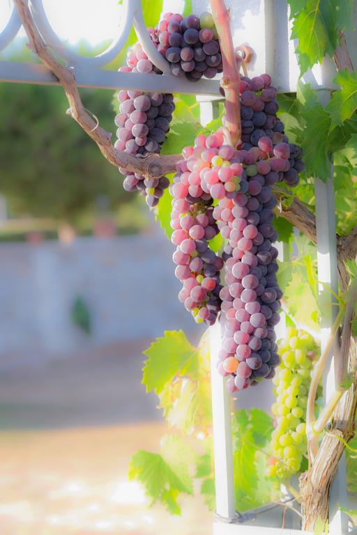 Agriturismo Il Megalite Giurdignano Eksteriør billede